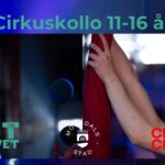 CirkusLov_2024_11-16Ã¥r